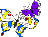 Disegno Farfalle pitturato su xobi