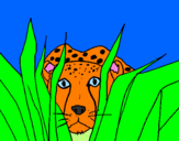 Disegno Ghepardo pitturato su tigre alice drichi