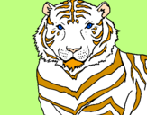 Disegno Tigre pitturato su verdina