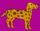 Disegno Dalmata pitturato su cane gre