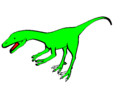 Disegno Velociraptor II pitturato su antonio