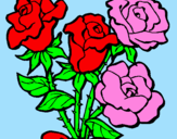Disegno Mazzo di rose  pitturato su ROSSY,GIMMY,CIP