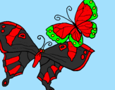 Disegno Farfalle pitturato su alessandro