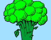 Disegno Broccoli  pitturato su sofia