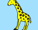 Disegno Giraffa  pitturato su chiara