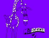 Disegno Madagascar 2 Melman pitturato su matteo buenaventura