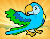 201206/parrot-con-wideout-animali-la-selva-dipinto-da-mora-1057025_163.jpg
