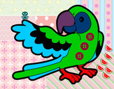 Disegno Parrot con wideout pitturato su adriano
