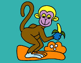 Disegno Scimmietta  pitturato su Dianuzza