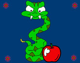 Disegno Serpente con la mela  pitturato su rocksana