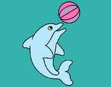 Disegno Delfino con una palla  pitturato su erika