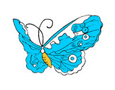 Disegno Farfalla Elegante pitturato su Luca