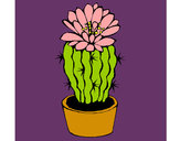 Disegno Cactus fiorito  pitturato su giuls
