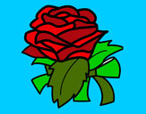 Disegno Rosa, botanica pitturato su immy