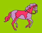 Disegno Cavallo 5 pitturato su sofiam