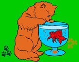 Disegno Gatto che osserva il pesciolino  pitturato su helena