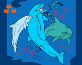 Disegno Delfini che giocano  pitturato su clelia 