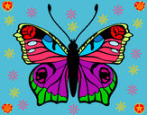 Disegno Farfalla 20 pitturato su Mikyetresy