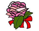 Disegno Rosa, botanica pitturato su matylan