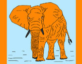 Disegno Elefante  1 pitturato su WalViolet
