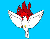 Disegno Colomba della Pentecoste  pitturato su Bianca03
