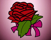 Disegno Rosa, botanica pitturato su Bianca03