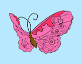 Disegno Farfalla Elegante pitturato su marti625