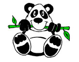 Disegno Orso panda  pitturato su vegekuo