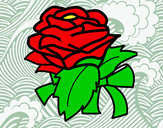 Disegno Rosa, botanica pitturato su saramenny