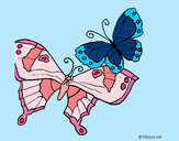Disegno Farfalle pitturato su Bianca03