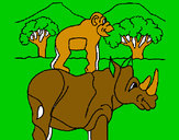 Disegno Rinoceronte e scimmietta  pitturato su chicco