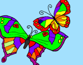 Disegno Farfalle pitturato su ANDREA PERINI