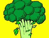 Disegno Broccoli  pitturato su ANDREA PERINI