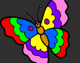 Disegno Farfalla  pitturato su carla e alice
