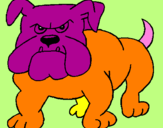 Disegno Bulldog  pitturato su sophie