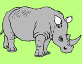 Disegno Rinoceronte  pitturato su CARLO