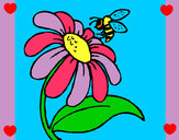 Disegno Margherita con ape  pitturato su EmmaM