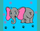 Disegno Piccolo elefantino  pitturato su coccinella