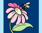 Disegno Margherita con ape  pitturato su maya