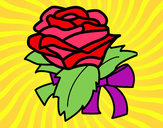 Disegno Rosa, botanica pitturato su midi