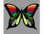 Disegno di Farfalle da colorare