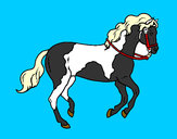 Disegno Cavallo 5 pitturato su matgiulia