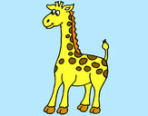 Disegno Giraffa 4 pitturato su marco04