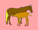 Disegno Cavalli  pitturato su ale04