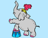 Disegno Elefante  pitturato su ale04