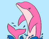Disegno Spruzzi delfino pitturato su ale04