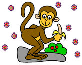 Disegno Scimmietta  pitturato su dudu