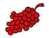 Disegno Grappolo d'uva rossa pitturato su luciano24