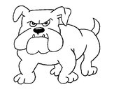 Disegno Bulldog  pitturato su 2mlab
