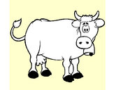 Disegno Mucca da latte  pitturato su 2mlab
